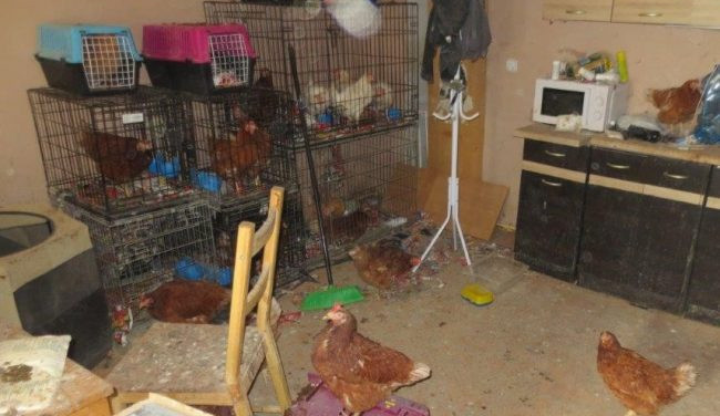 Veterináři našli v chovu v Borovničce na Trutnovsku přes 200 týraných zvířat