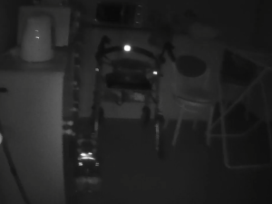 VIDEO: Uprostřed noci našli strážníci vyčerpanou stařenku v jejím bytě. Na podlaze ležela osm hodin
