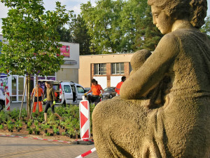 V Hradci Králové vznikl první ekologicky šetrný záhon. Lidé ho najdou v Malšovicích