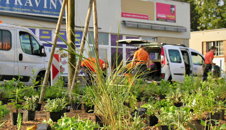 V Hradci Králové vznikl první ekologicky šetrný záhon. Lidé ho najdou v Malšovicích