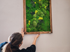 Mechy na své obrazy objednává až od polárního kruhu. Jeden od Kristýny Bízek dostal i prezident