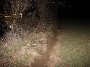 nalezené padělky u nehody