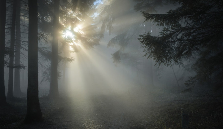 Víkendové teploty se budou pohybovat kolem 20 stupňů. Mohou se přidat přeháňky.