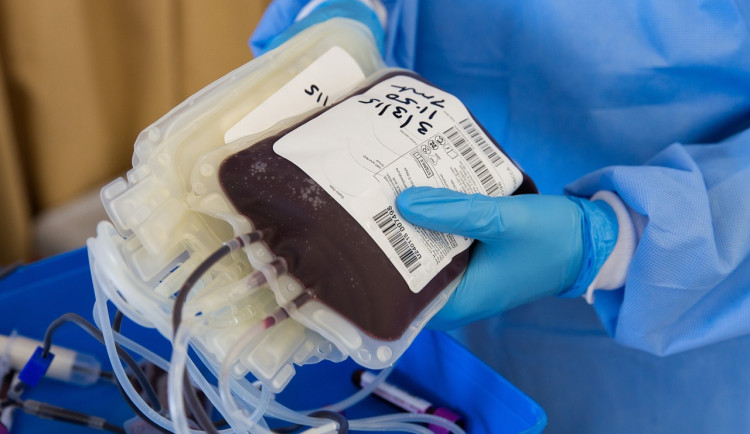 Odstartoval Mezinárodní týden dárcovství krevní plazmy. Možných dárců je čím dál tím méně