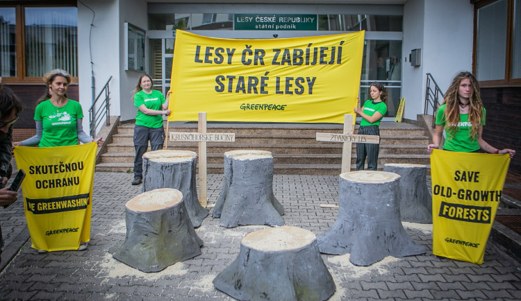 Zástupci Greenpeace před sídlem Lesů ČR protestovali proti kácení starých lesů