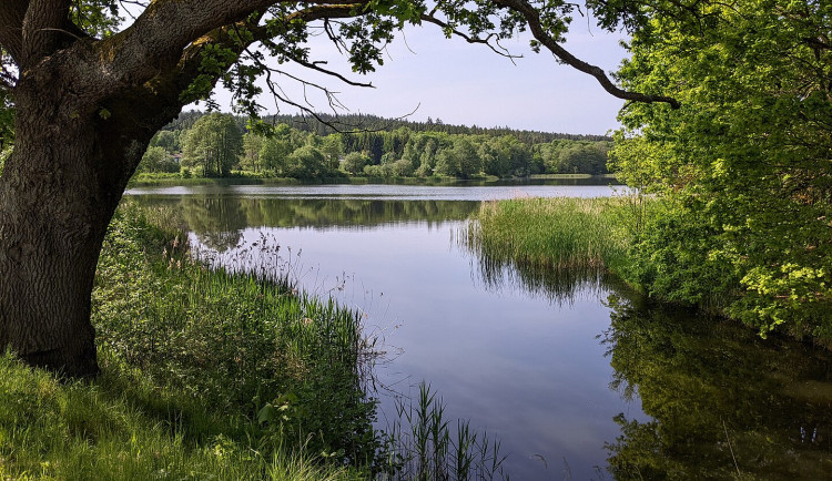 Oprava rybníka u hranic. Úřad musí doplnit své rozhodnutí