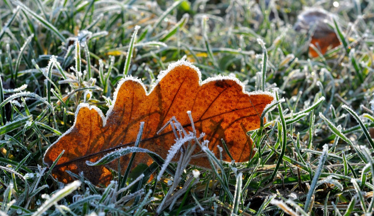 Tento týden mohou noční teploty klesnout pod nulu. Chladno bude i přes den.