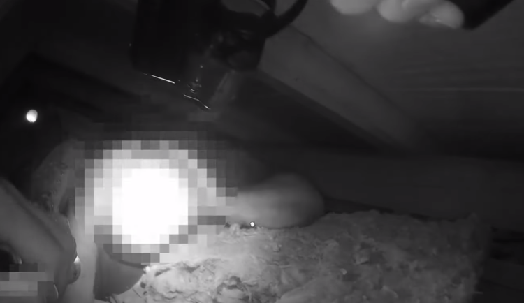 Muž v podmínce se pokusil ujet a schovat policejní hlídce. Vzdal se až před namířenou pistolí