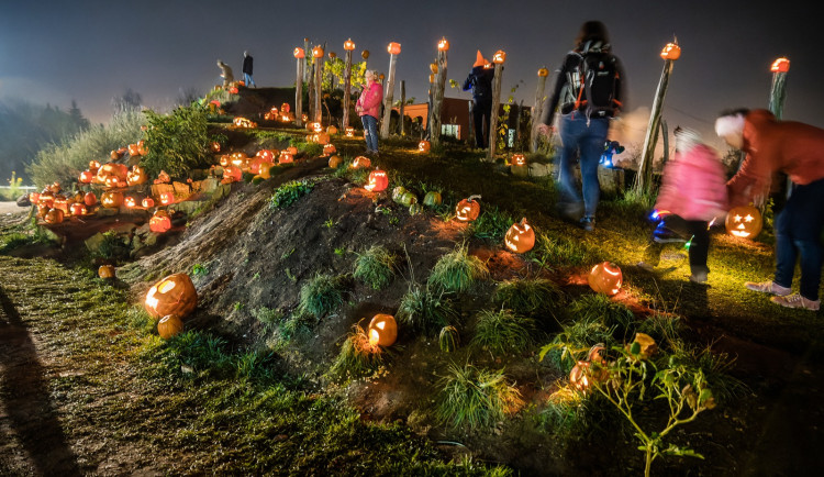 V Safari Parku Dvůr Králové začal Týden duchů, dopoledne přišly stovky lidí