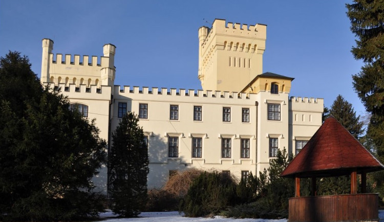 Hejmanství se pokusí najít nového majitele ražbu zámku ve Skřivanech