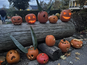 OBRAZEM: Tisíce dýní v Safari Parku ve Dvoře Králové. Týden duchů končí
