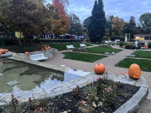 OBRAZEM: Tisíce dýní v Safari Parku ve Dvoře Králové. Týden duchů končí