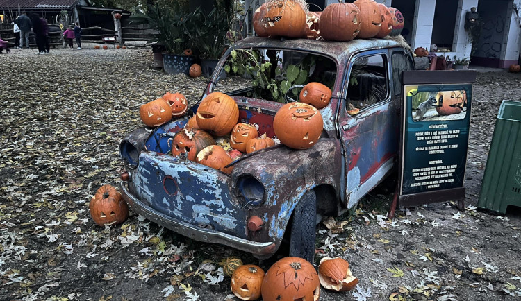OBRAZEM: Tisíce dýní v Safari Parku ve Dvoře Králové. Týden duchů končí