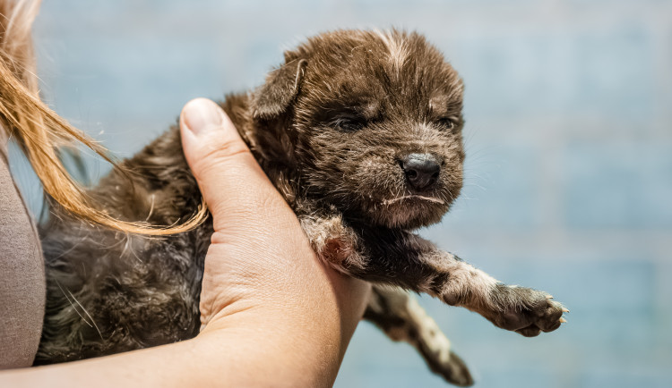 20230927_dsc6634-enhanced-nr