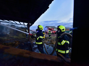 Plameny napáchaly u Nového Bydžova škodu za pět milionů, hasiči jsou stále na místě