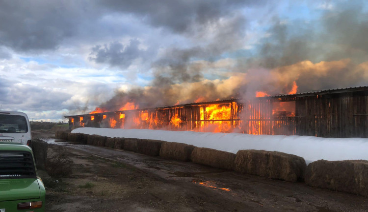 Příčinou rozsáhlého požáru zemědělské haly na Hradecku byla nedbalost