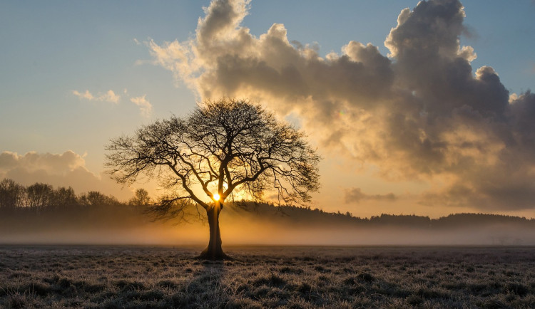 V týdnu se bude postupně ochlazovat. Stále častější budou i sněhové přeháňky.