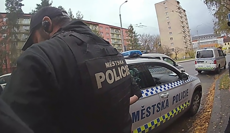 Mladík cestoval bez jízdenky. Poté lhal o svém jméně a mlátil hlavou o auto strážníků