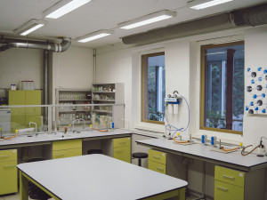 Náročné, přesto příjemné. I takové může být studium