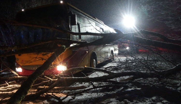 Sněžení v hradeckém kraji zkomplikovalo dopravu i dodávku elektřiny
