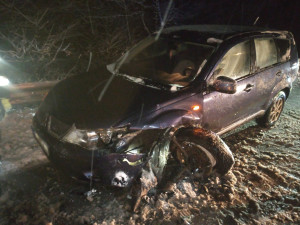 V hradeckém kraji sněžilo. Na silnicích je rozbředlý sníh, padaly stromy