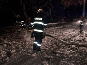 V hradeckém kraji sněžilo. Na silnicích je rozbředlý sníh, padaly stromy