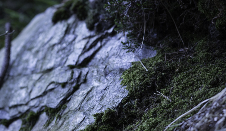 VIDEO: Dělníci asanují skály mezi Větřním a Rožmberkem