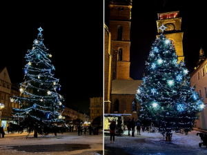 ANKETA: Jaké náměstí v Hradci Králové má hezčí vánoční strom?