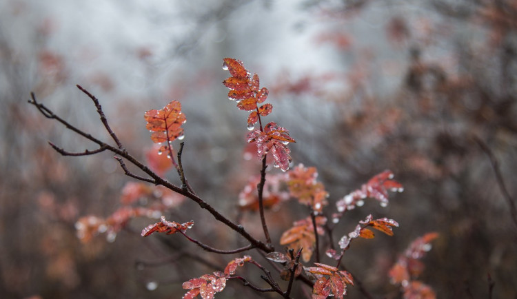 V týdnu se na východě Čech oteplí. Rtuť teploměru se může dostat až na osm stupňů