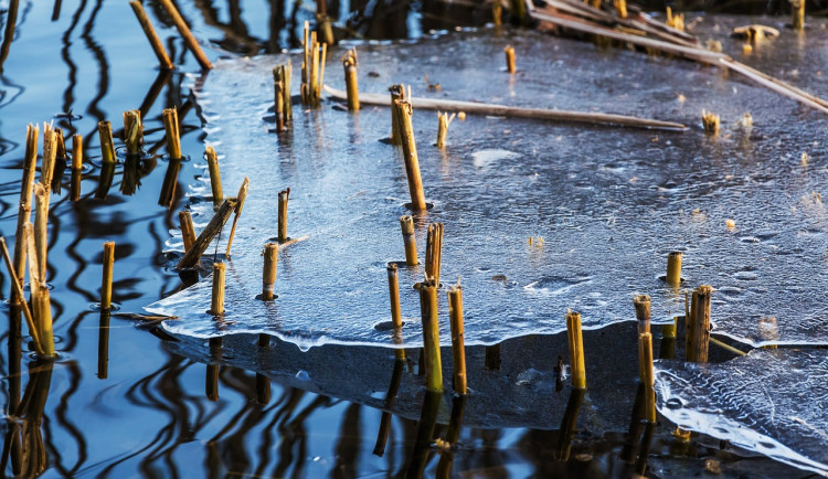 O víkendu se bude oteplovat. Naměříme až osm stupňů Celsia