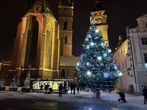 Anketu o nejhezčí vánoční strom Hradce Králové vyhrál ten na Velkém náměstí
