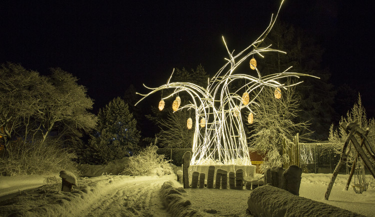 (C)Lukas Pavlacik,wildlife-photo.cz,wildlife-photo@seznam.cz