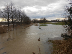 OBRAZEM: Hladiny řek v hradeckém kraji zaměstnávají hasiče. Voda se z koryta vylila i v Hradci Králové