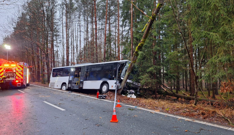 Na Rychnovsku narazil autobus do stromu, zranil se řidič a dítě