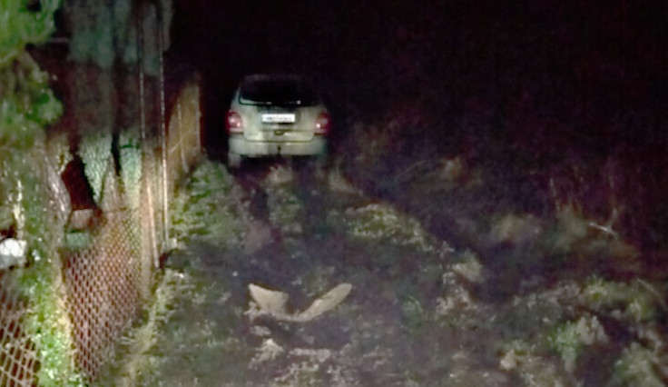 Řidiči pod vlivem drog a alkoholu v Hradci Králové na sebe upozornili netradičním chováním