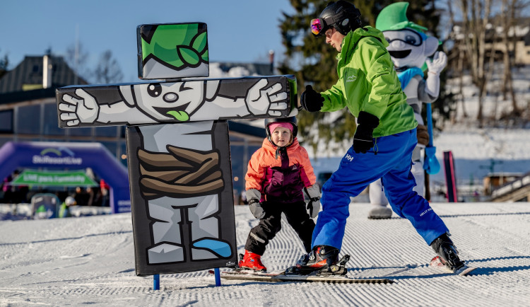 ski