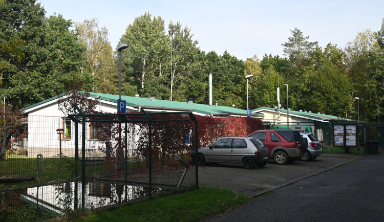 Z hradeckého útulku je nově Azyl pro zvířata. Nový provozovatel chce zavést dny pro veřejnost