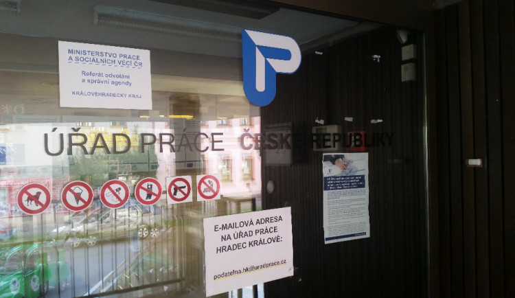 V hradeckém kraji pracuje 4800 uprchlíků z Ukrajiny. V poslední době jich ubylo