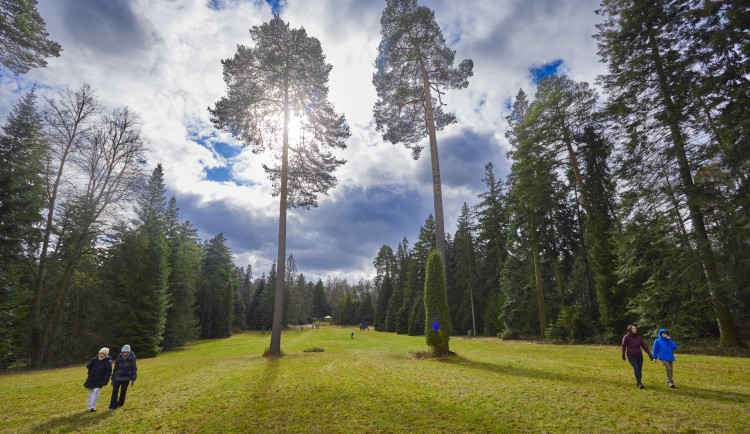 Kam o víkendu na jižní Moravě? Do arboreta nebo na maškarní v zoo