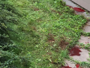 Snažím se vše řešit s chladnou hlavou, říká náchodský policista