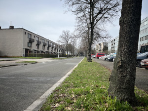V hradeckých Malšovicích bude nový teplovod, k zemi kvůli němu půjdou desítky stromů