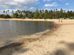 Kvalitu vody ve Stříbrném rybníku mají zlepšit candáti. Ve vodě jich je nově 500