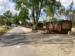 Kvalitu vody ve Stříbrném rybníku mají zlepšit candáti. Ve vodě jich je nově 500