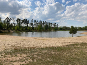 Kvalitu vody ve Stříbrném rybníku mají zlepšit candáti. Ve vodě jich je nově 500