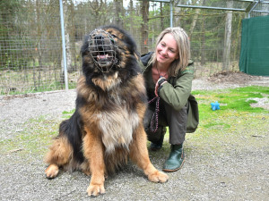Královéhradecký útulek pro zvířata by se měl stát i centrem lesnípedagogiky