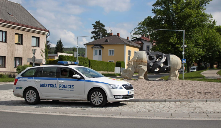 Městská policie ve Dvoře Králové se může s volajícím spojit pomocí videa nebo chatu