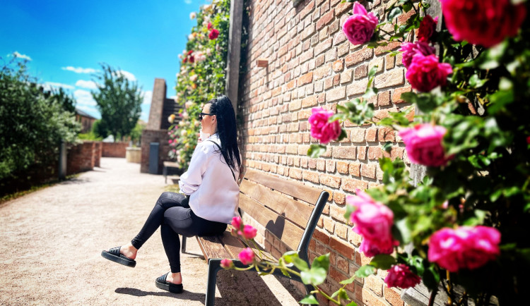 Hradec bude hledat projektanta na opravu severních teras za dvě stě milionů