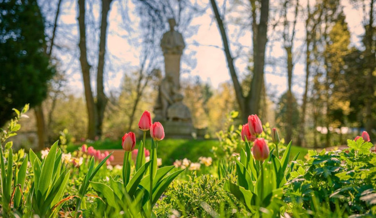 Od historického půdorysu k moderní zeleni. Revitalizace sadů v Hořicích je ve druhé fázi.