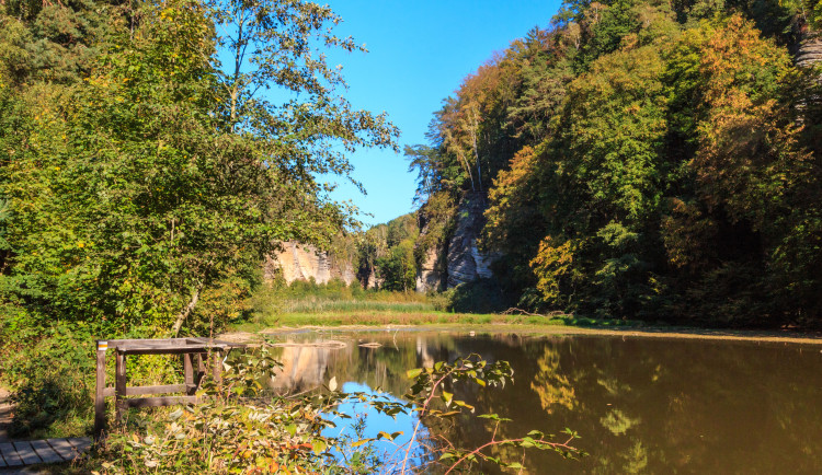 Voda ke koupání v hradeckém kraji vyhovuje. Horší vlastnosti má Oborský rybník