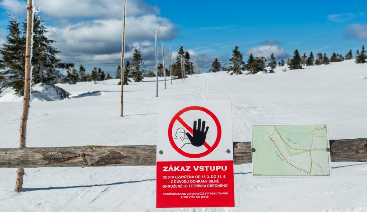 Správa KRNAP otevřela turistické cesty uzavřené na jaře kvůli ochraně tetřívka